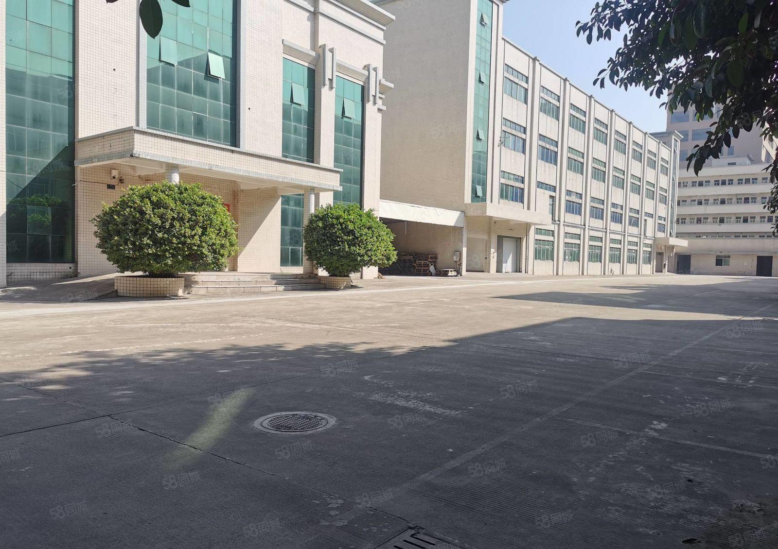 大朗11000平方原房东独院厂房急租 价格便宜