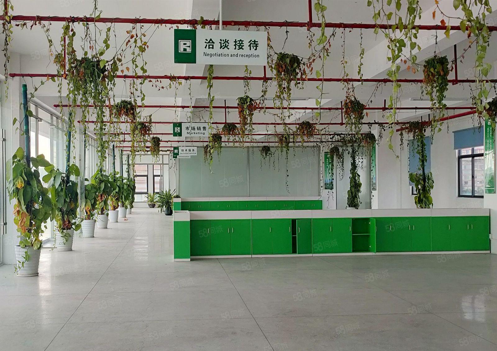 大朗村厂房出租，一至3楼，每层3000平，大小分租