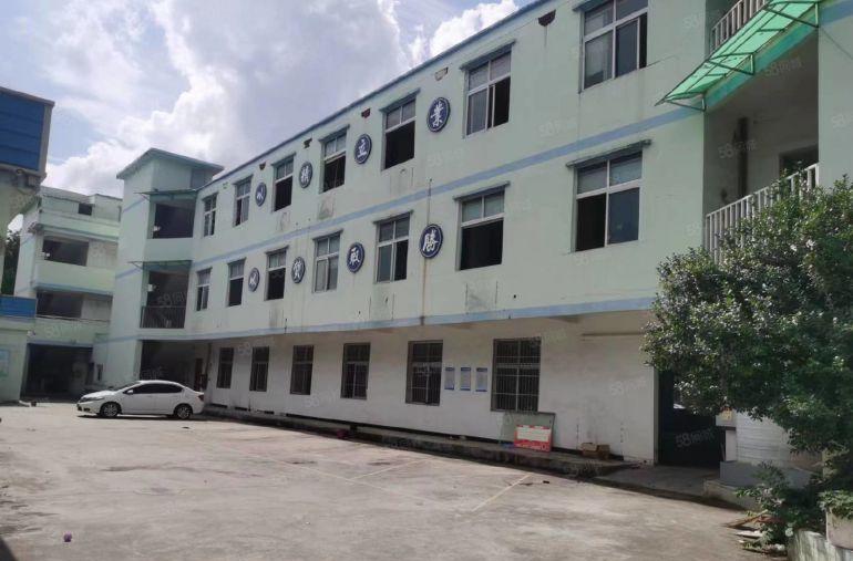 大朗中心附近标准小独院仓库厂房出租3800平低价可分租易招工