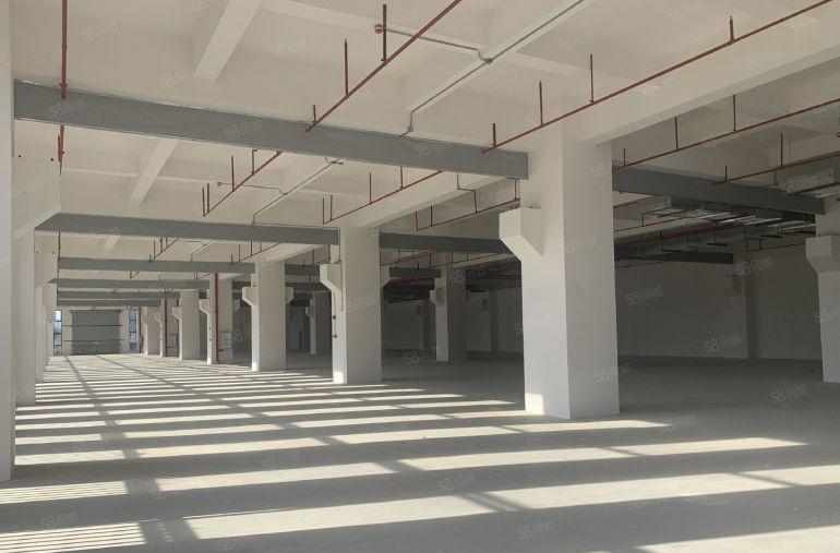 大朗富民工业城85000平方全新重工业厂房出租（可分租）