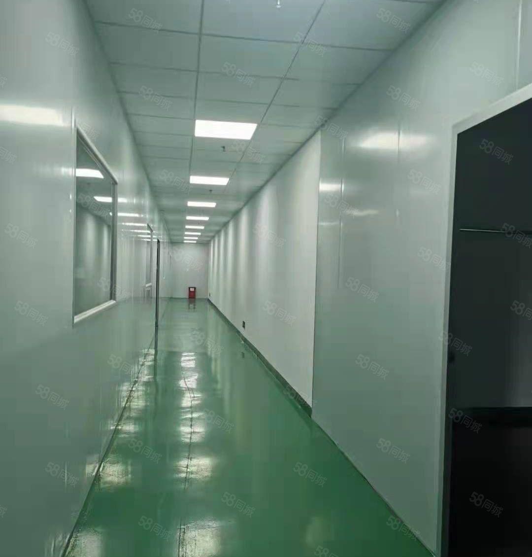 全新工业园空出楼上厂房分租水电齐全精装修工业用地