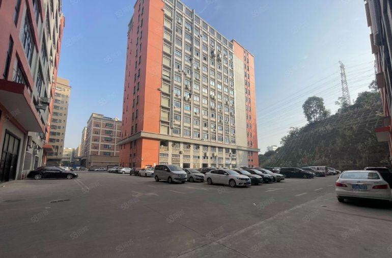 大朗镇全新地坪漆以及精装修办公室