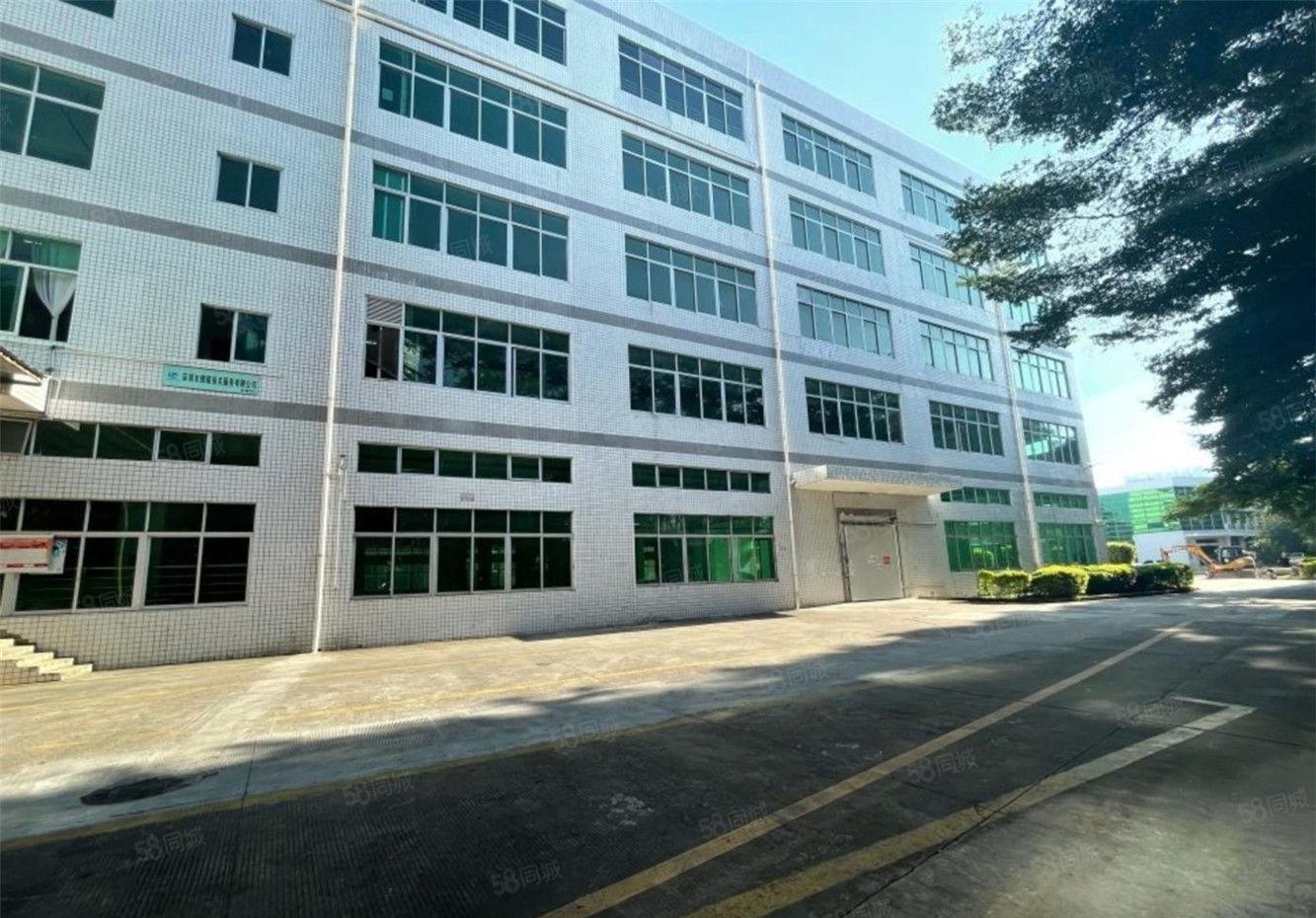 大朗仓库厂房出租2600方，高6米，工业用地不限行业交通便利