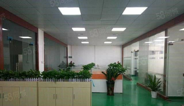 带现成环评 大朗蔡边5000平花园式独院厂房 9元抢租