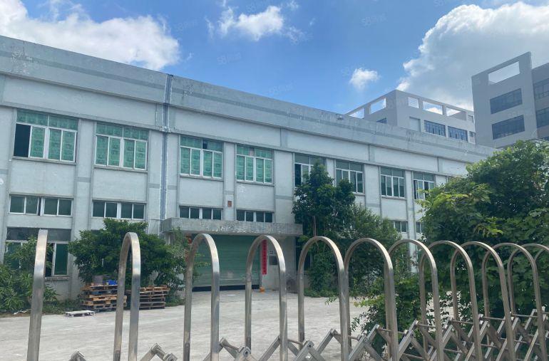 大朗镇原房东独院二层厂房5000平方米出租。