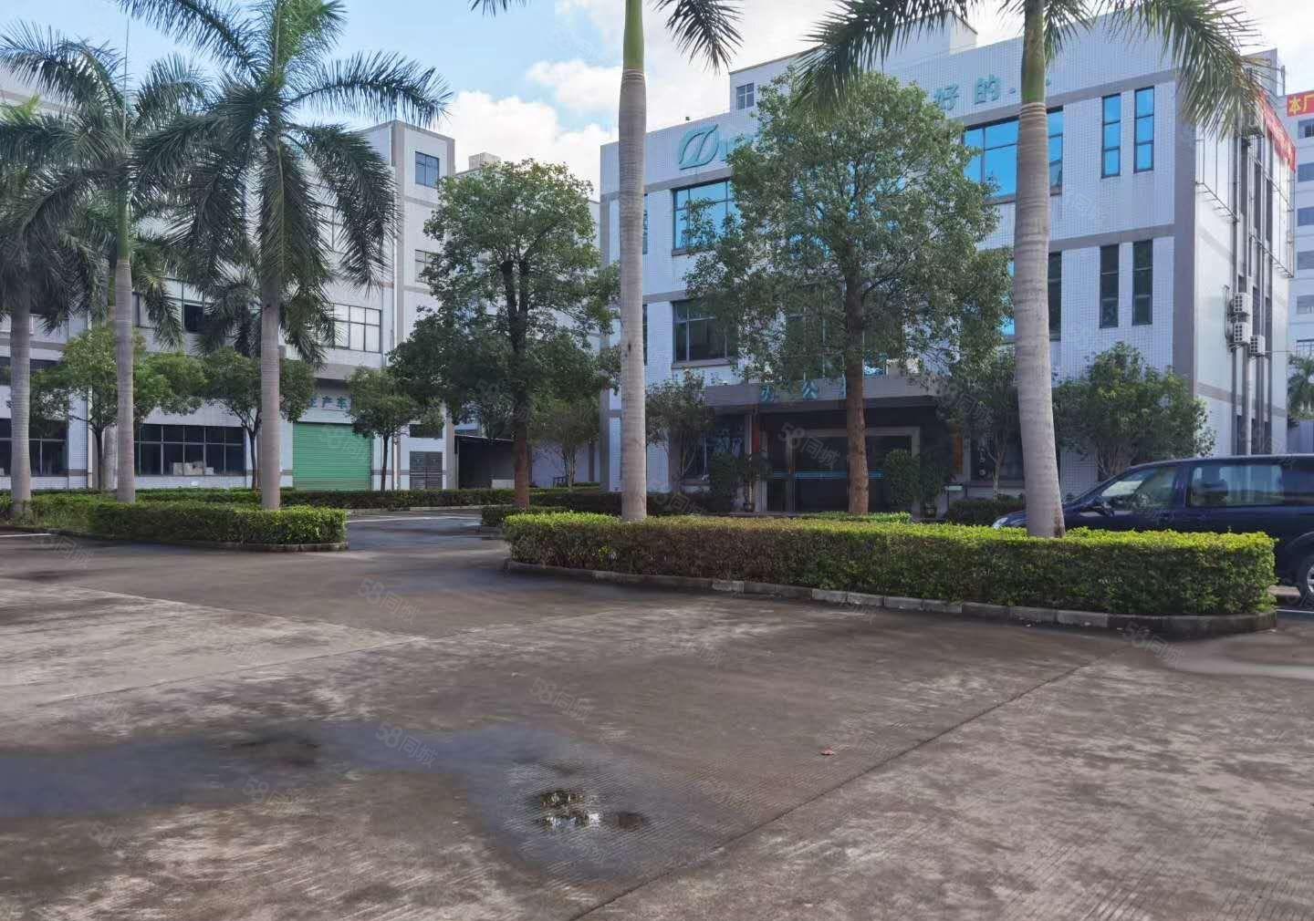 大朗镇2层红本独门独院厂房13000平方，宿舍2000平方