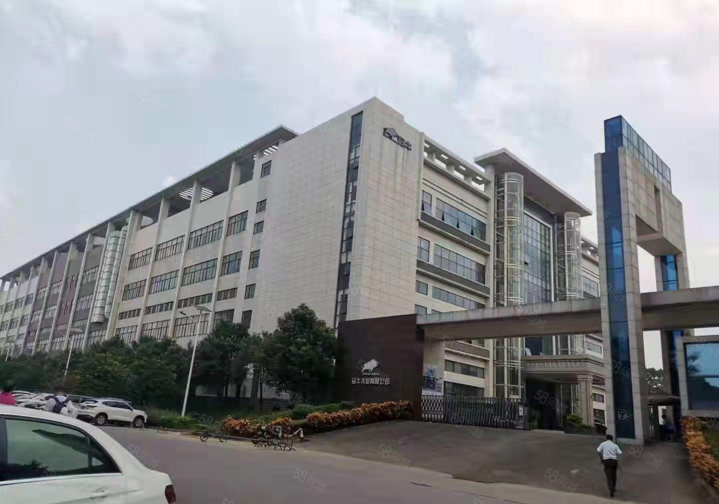 大朗靠近松山湖片区新出原房东红本厂房54000平方现成装修