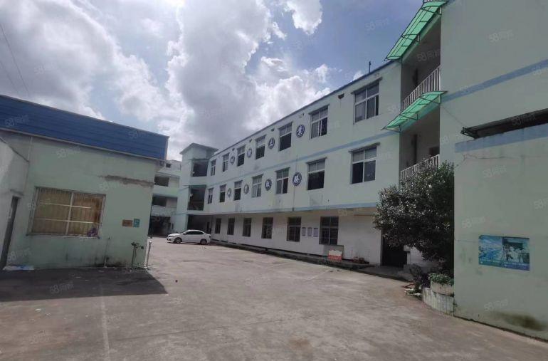 大朗中心附近标准小独院仓库厂房出租3800平低价可分租易招工