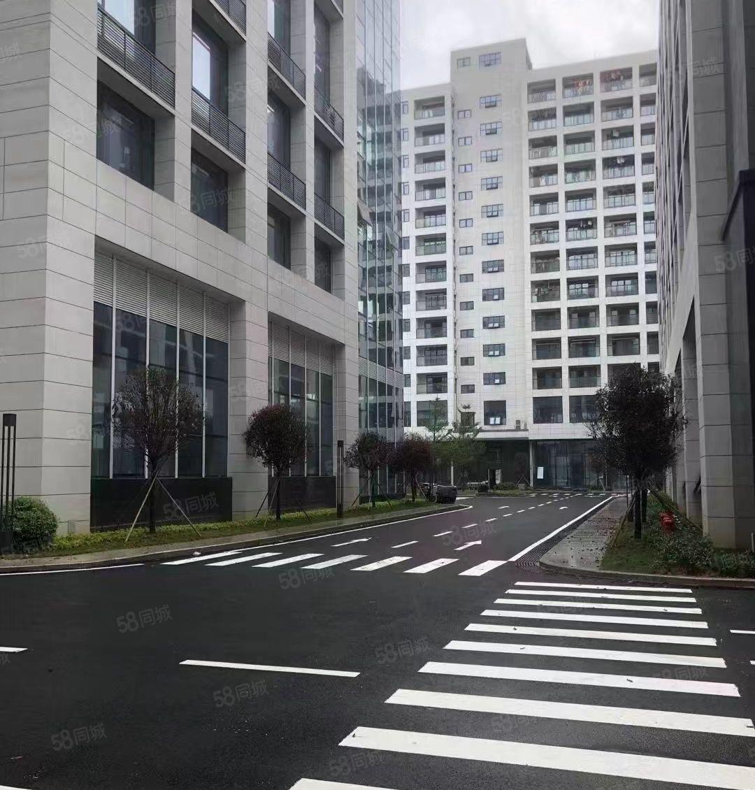 大朗正规工业区全新厂房8万平方 700起分租 上市公司