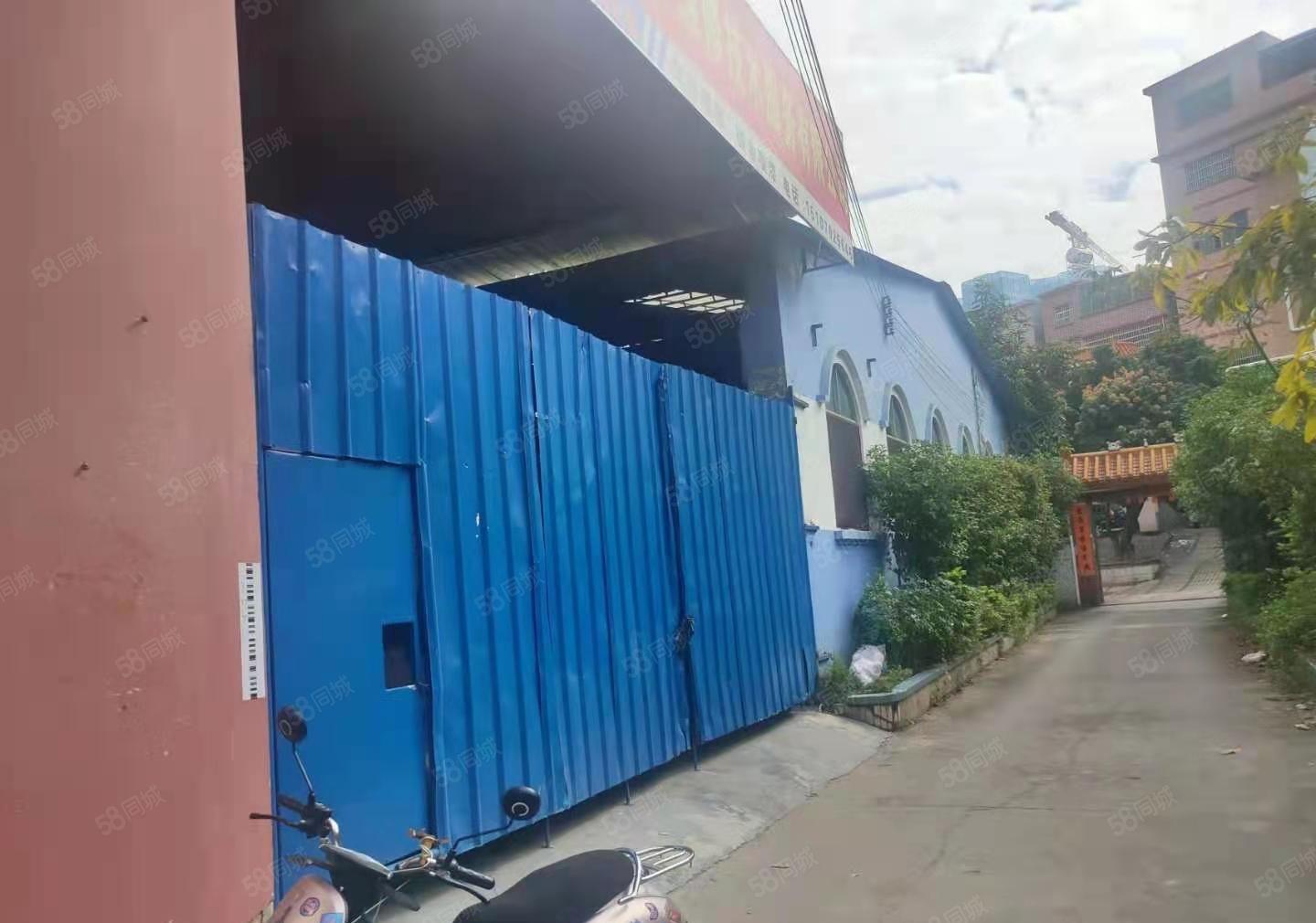 大朗原房东钢构500方，高约4.8米价格实惠无公摊，主路边