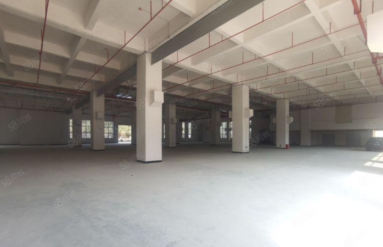 大朗镇石厦全新红本厂房出租，总面积8万平方大小可分租。