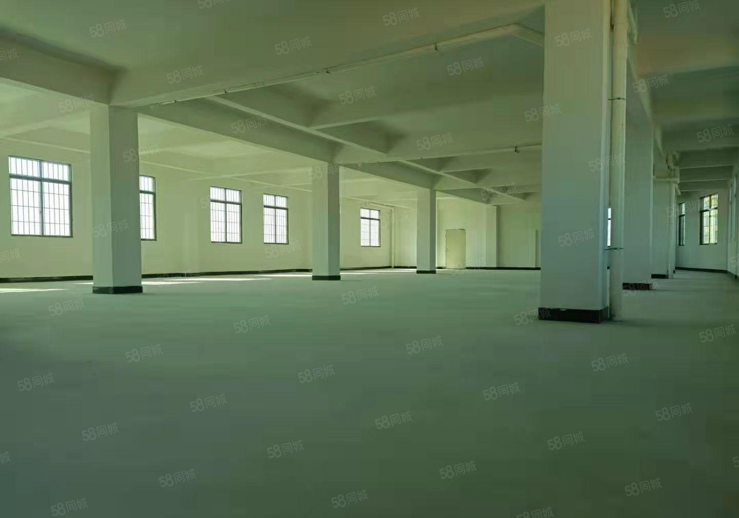 小面积客户福音！原房东厂房七层各680平出租2吨货梯 做仓库