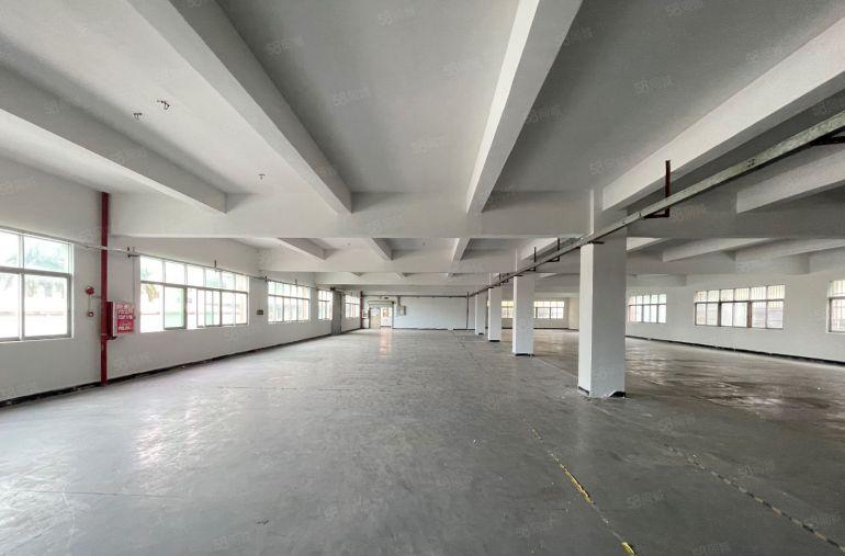 大朗镇红本厂房分租三楼1250平方带办公室11元平方