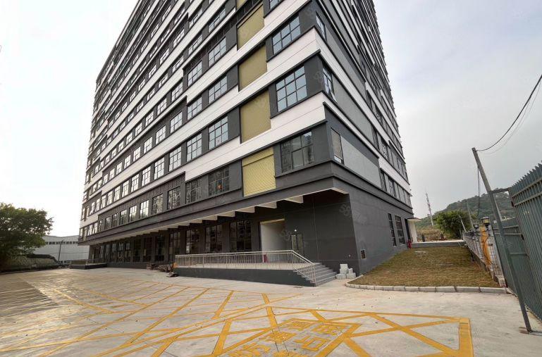 大朗富民南路全新厂房招租（形象好 租金低 交通便利 配套齐）