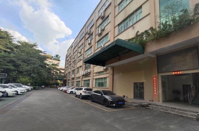 大朗 标准独院厂房 现成装修 适合纺织 电子 医疗器械 箱包