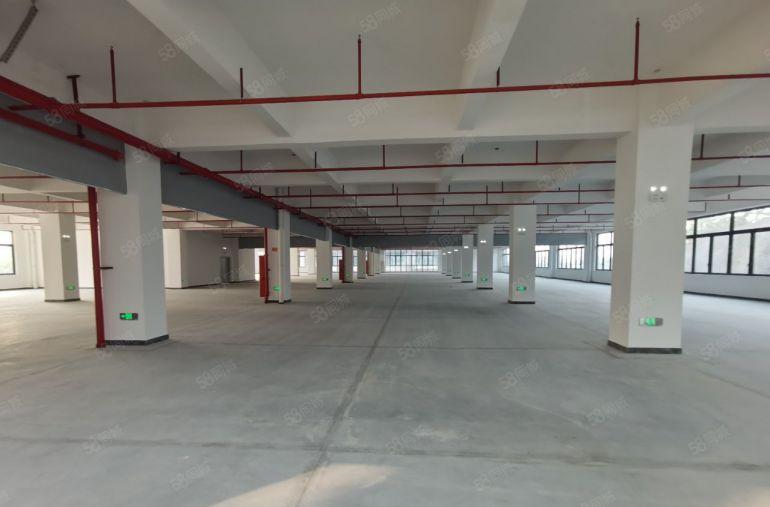 大朗镇厂房出租，带货梯，大小可分租