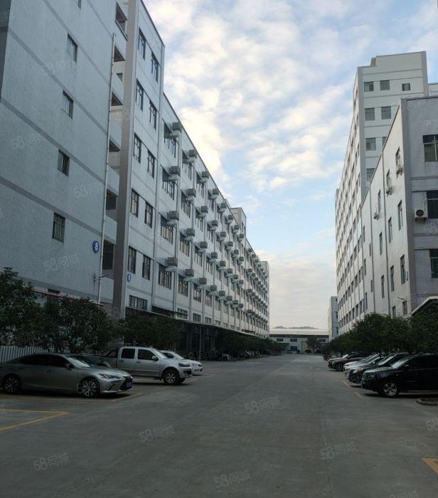 大朗新出（一手原房东）带精装修厂房3000平