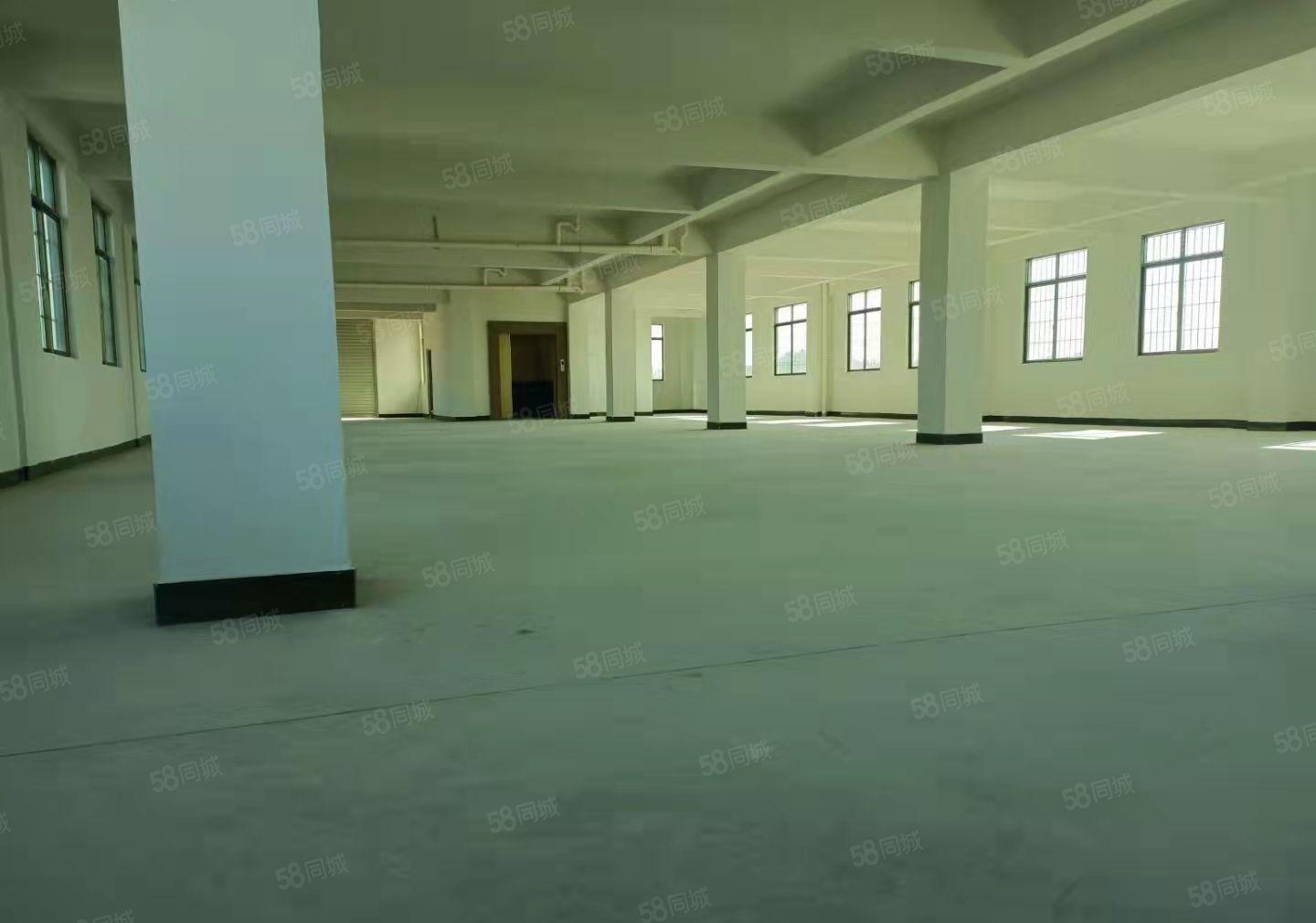 小面积客户福音！原房东厂房七层各680平出租2吨货梯 做仓库