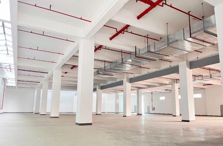 10元大朗原房东无尘精装修独院厂房出租一楼到三楼各1000平