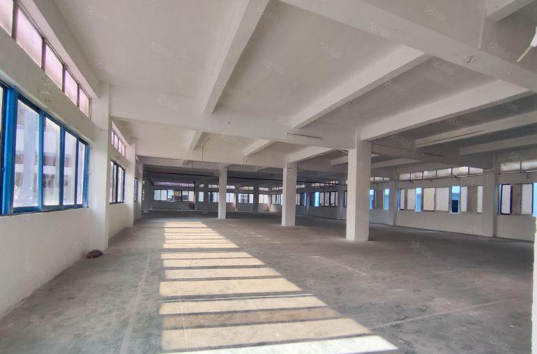 大朗原房东独院厂房6000平，形象好空地大，水电可过户无公摊