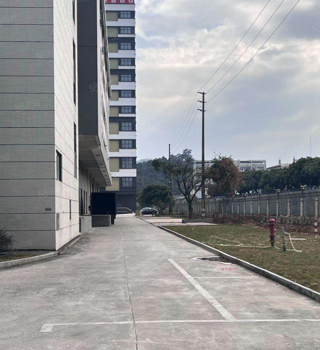 大朗富民南路全新厂房招租（形象好 租金低 交通便利 配套齐）