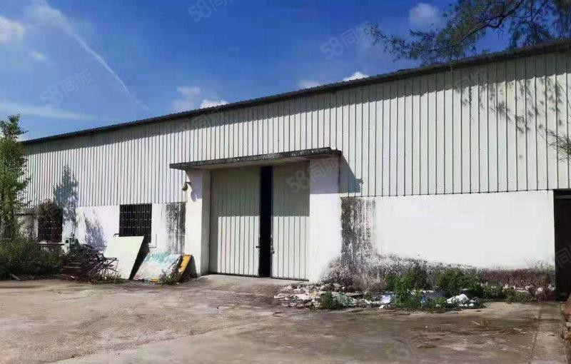 租金便宜 大朗杨涌550平方独院铁皮可做油漆 化工 污染等