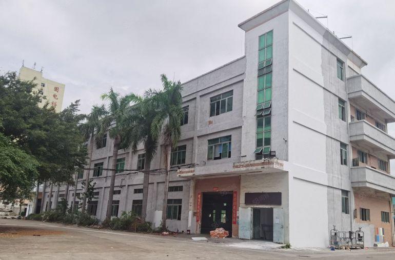 大朗竹山村委会独门独院3000平无公摊厂房办公电商仓库出租