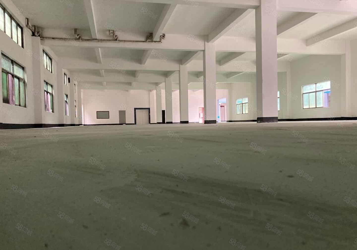 水口村工业园标准一楼1000平方出租水电齐全带办公室可办环评