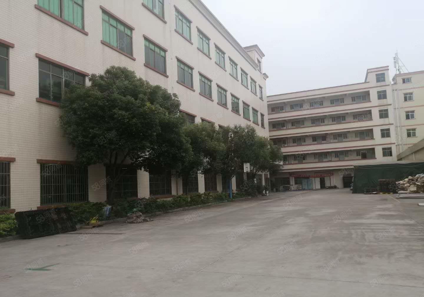 大朗新出原房东分租三楼厂房。实际面积出租。花园式厂房