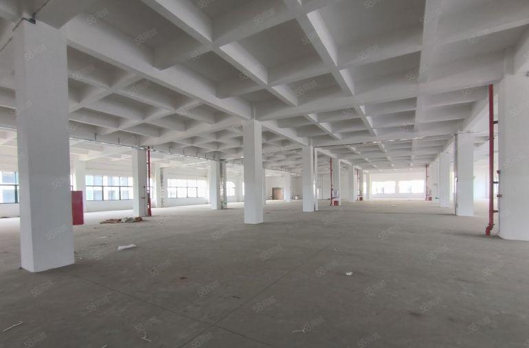 仓库出租 空地出租 厂房出租 无尘车间 租厂房 小独院