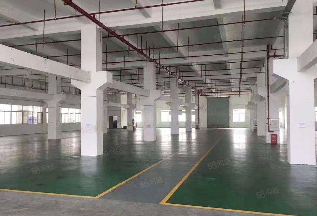 大朗花园式独院厂房17800平