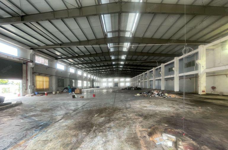 大朗台湾房东独院空地超大钢结构无柱子带隔热层独立办公室