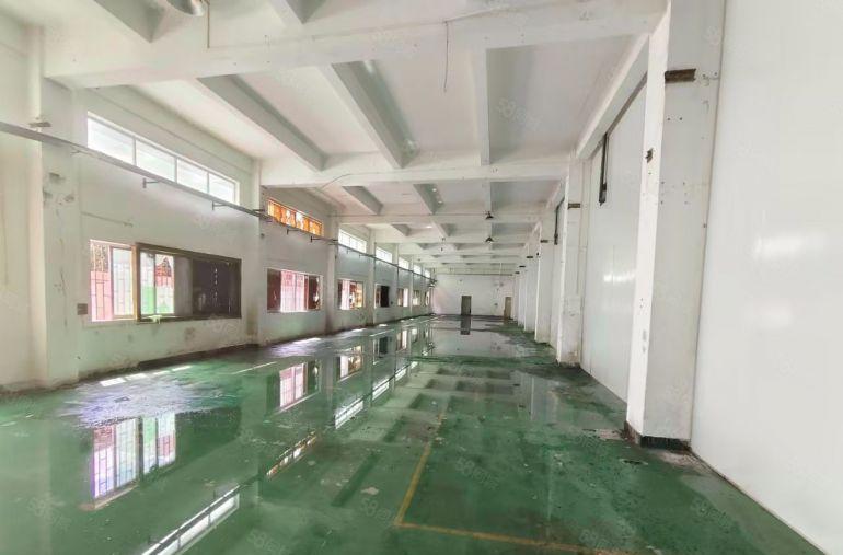 大朗大井头新出7000平米独院标准厂房出租15元平米