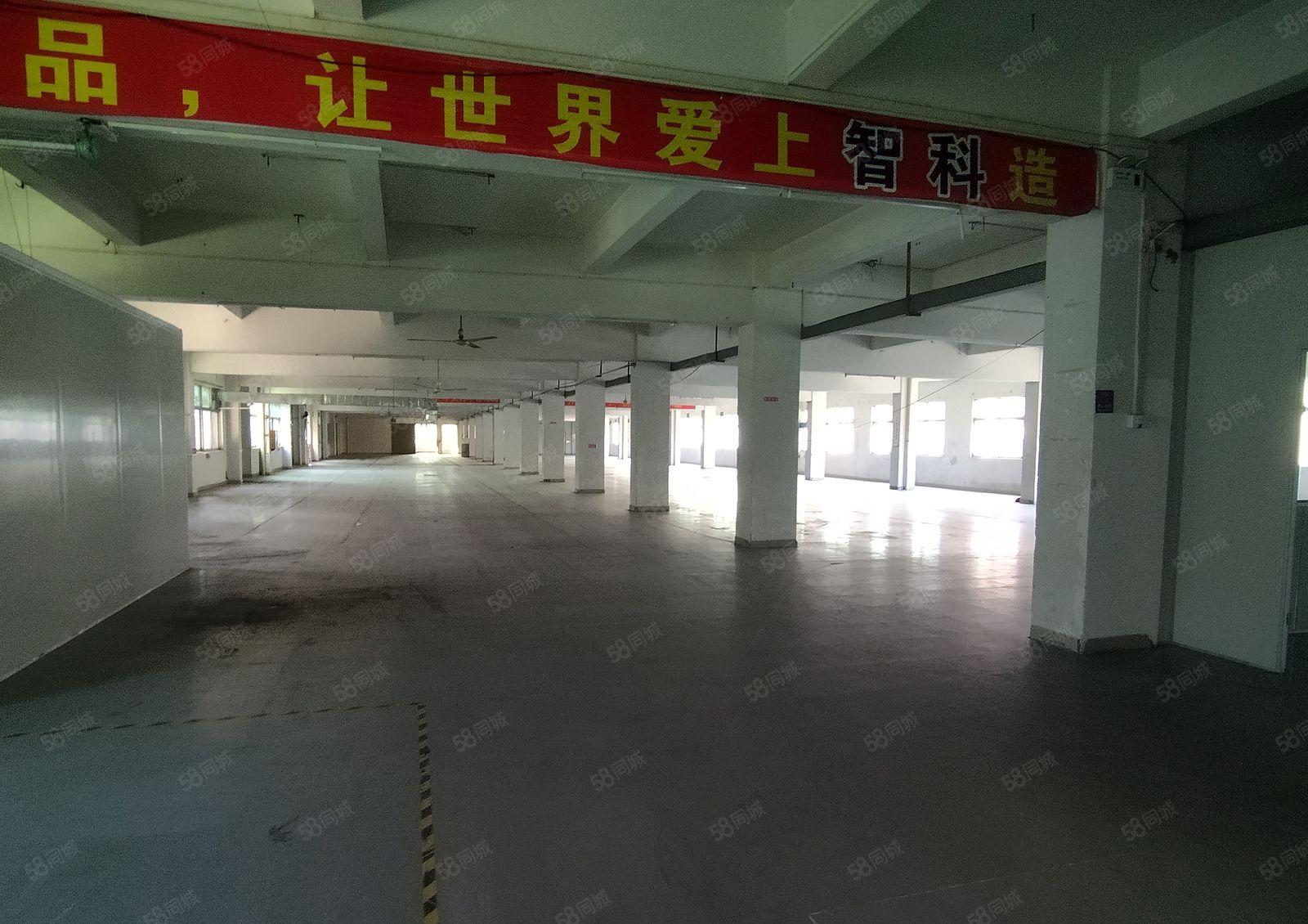 大朗花园式双证红本独院厂房内部精装修停车位充足可办环评