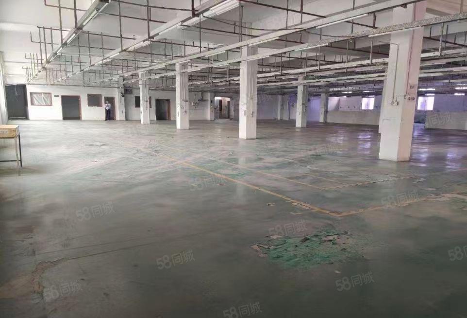 大朗独门独院标准厂房出租