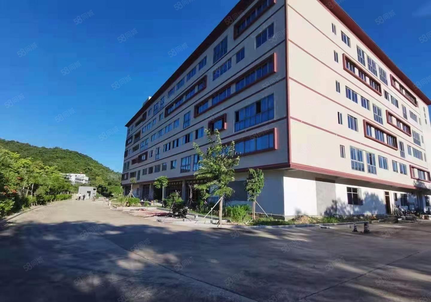 大朗大井头新出二楼1200平方出租园区空地超大