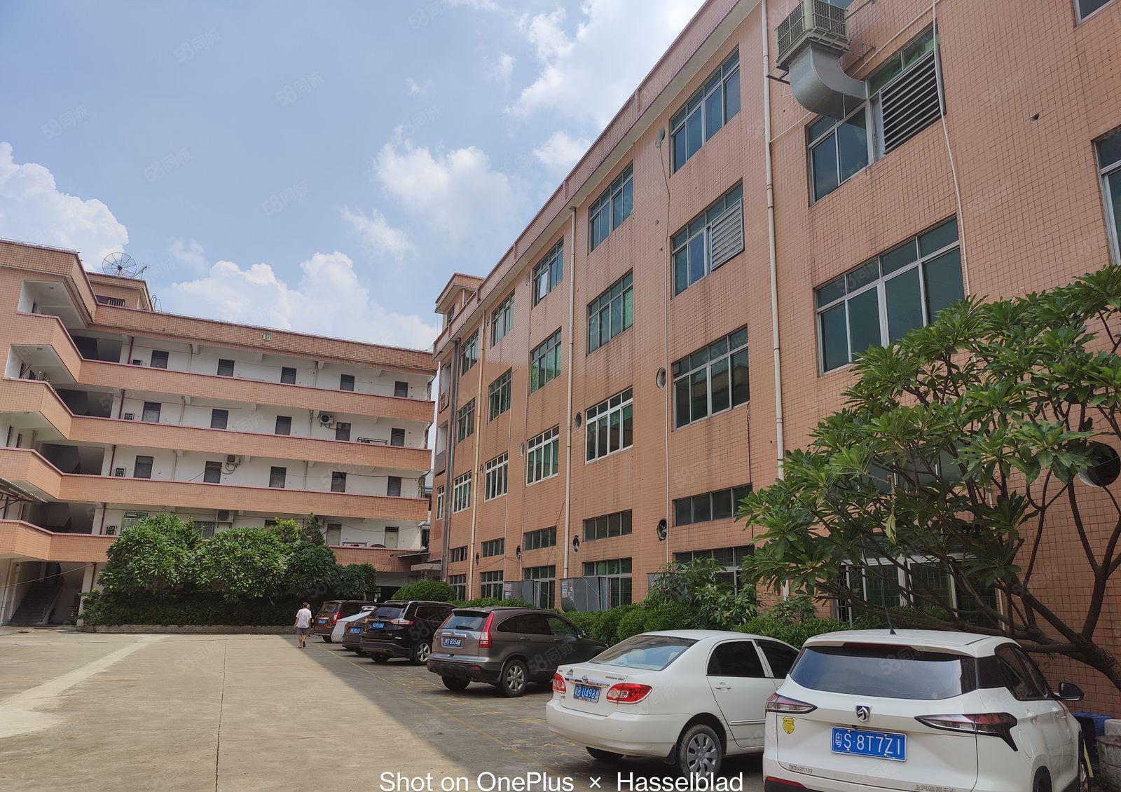 15起低价靓盘大朗临深高速入口1万平经典独院厂房出租大小可分