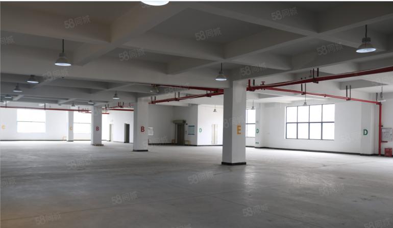 东莞 大朗 原房东 1000平 全新厂房出租