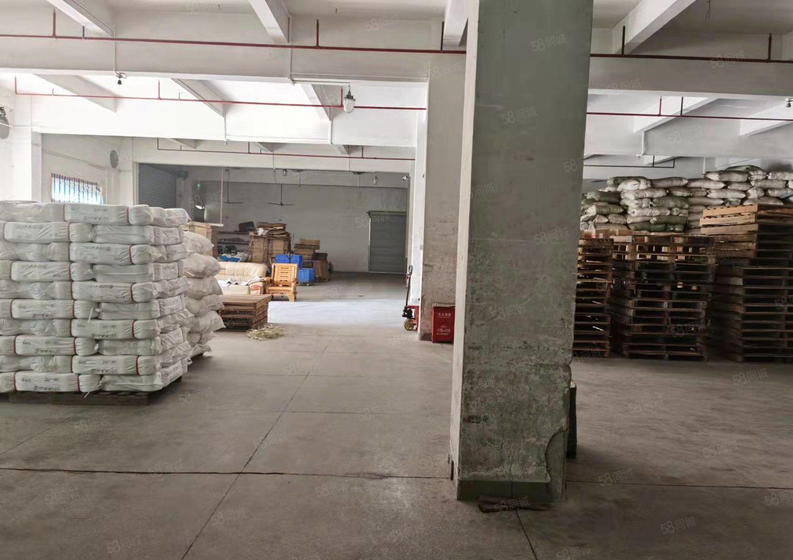 大朗镇新出独院厂房分租一楼2300平方，楼高六米，豪华装修