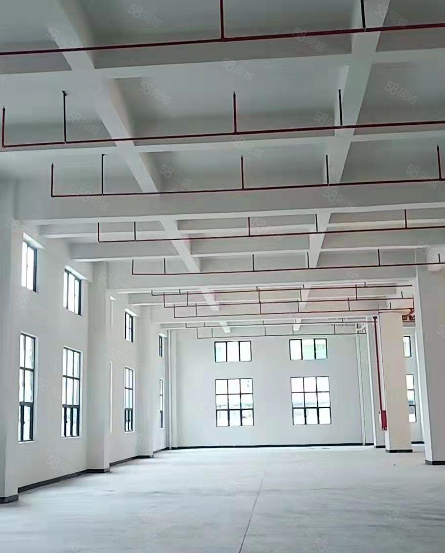 一楼900平起租 新马莲 独院厂房13000平 环评消防喷淋