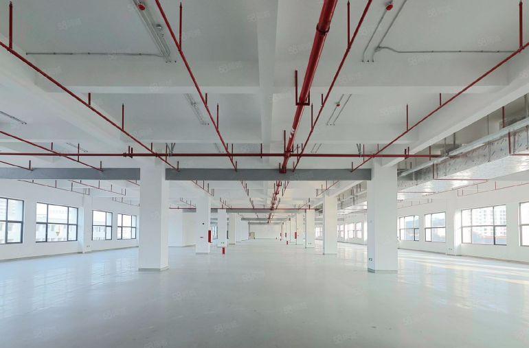 大朗原房东带环评，一楼高8米15，楼上10块，自己交电费