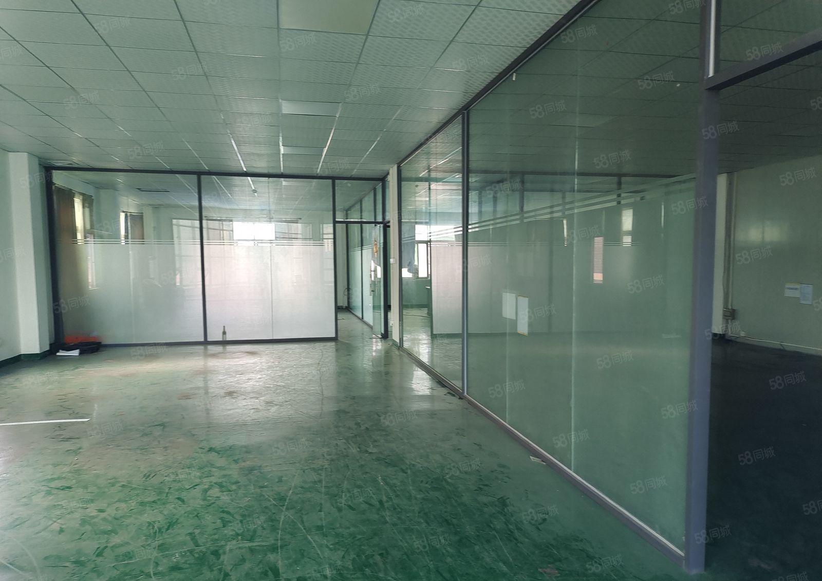 真图 无转让费 大朗新马莲新出楼上1200平米精装修厂房出租