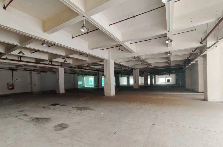 大朗原房东花园式厂房一楼7000平出租，精装修办公室，可分租