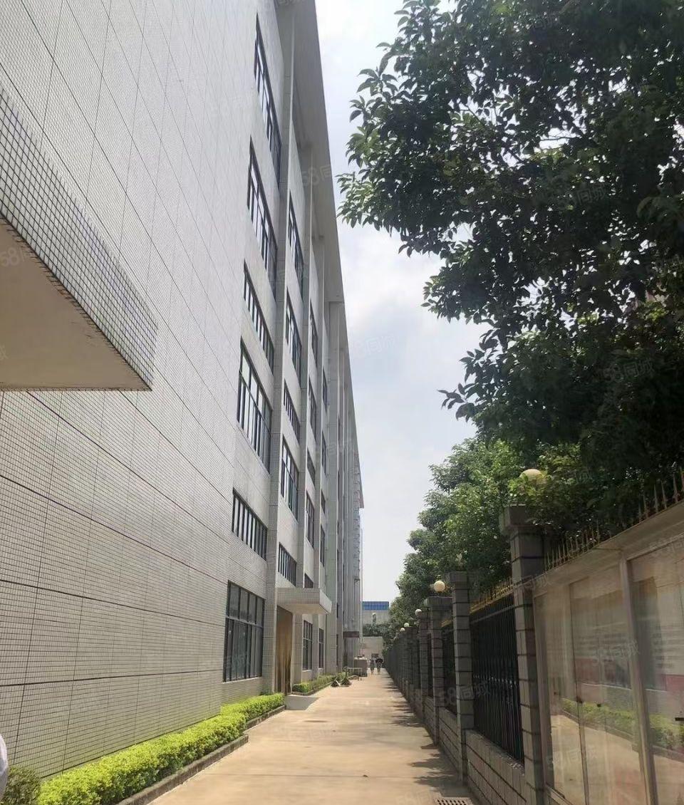 一楼8米高的厂房出租大朗独院分租一楼8000平