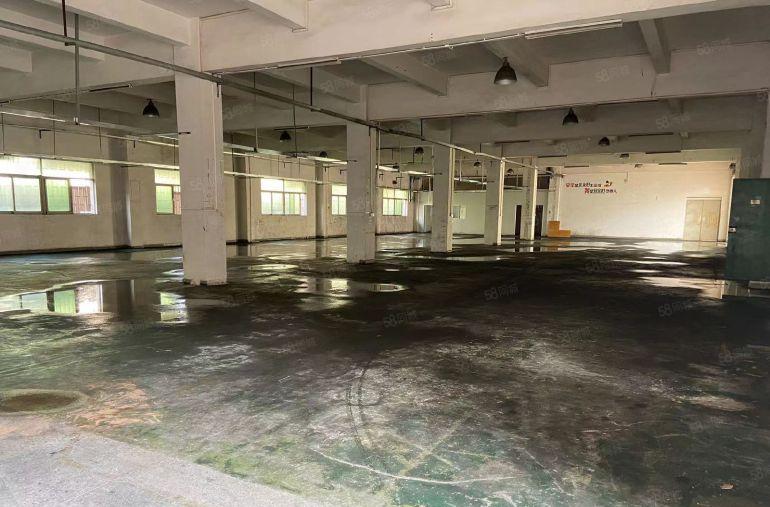 大朗镇全新园区，标准厂房，仓库铁皮房低价出租