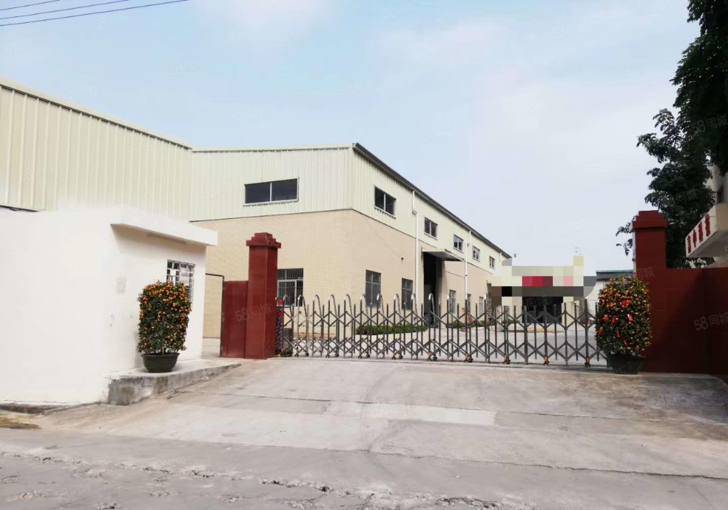 大朗洋坑塘新出钢构厂房出租5500平方 9米高 空地大独院