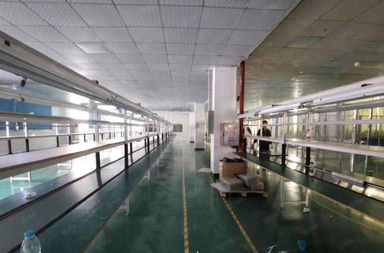 原房东！大朗独院5000平实际面积低价厂房仓库出租