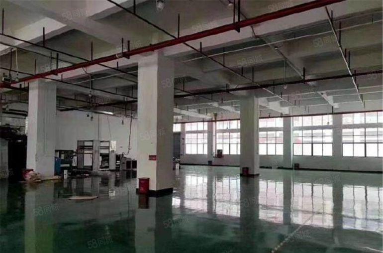 10块特价厂房 大朗大井头一楼800平方送阁楼办公室