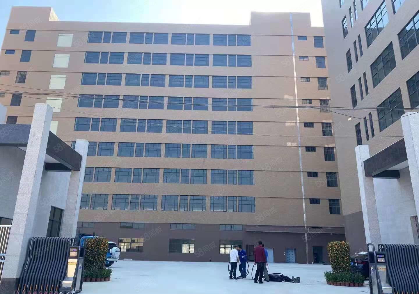 先抢先得 大朗黎贝岭独院二楼900平方厂房 9元分租