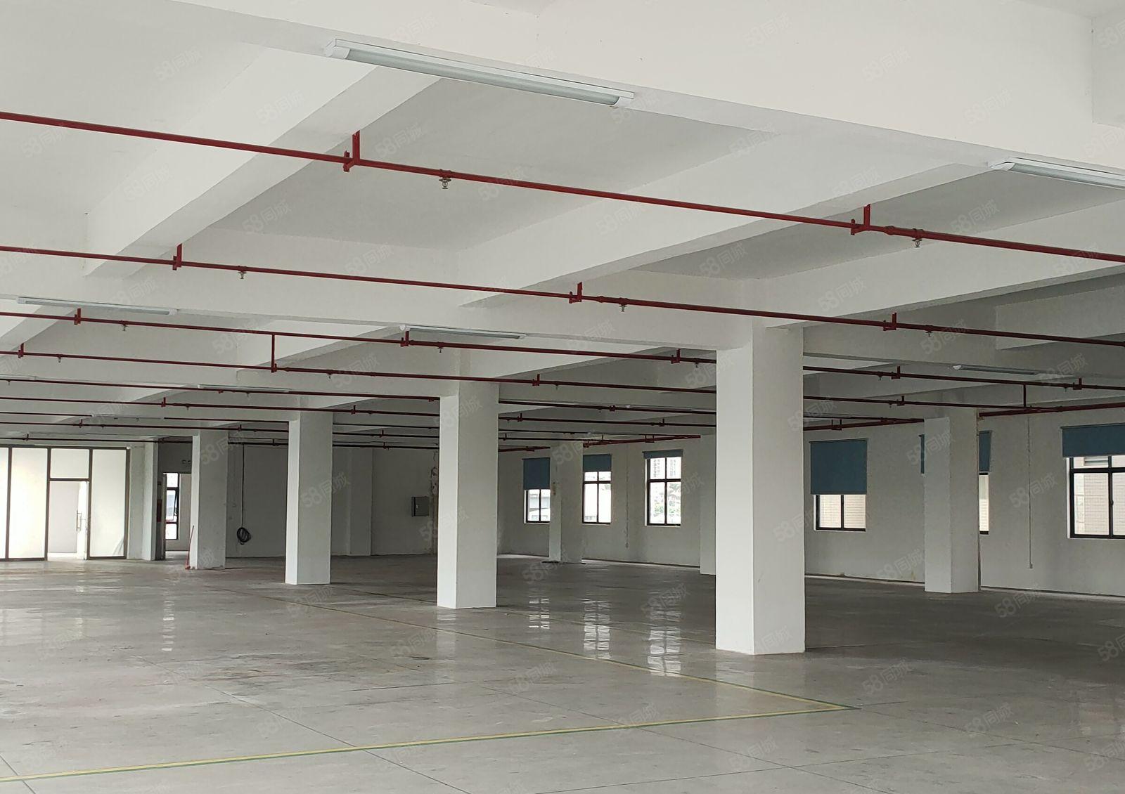 大朗新出高速路口下1500厂房带现成精装修，现低价出租，